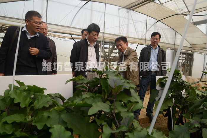 ��Ȫ���B(t��i)ˮ��ȼ��g(sh��)�߲ˬF(xi��n)��(ch��ng)�^Ħ������������(hu��)�ɹ����_(k��i)