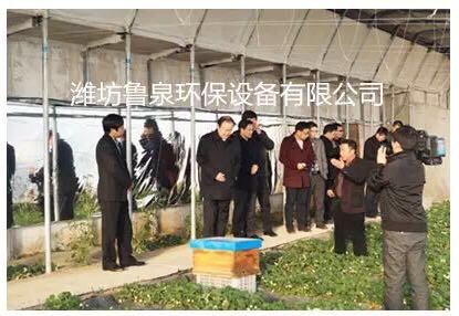 ����(ji��)ǰ����(l��i)����ɽ���r(n��ng)�ƈ@��ϲ������Ȫ���B(t��i)ˮ��ȷNֲ�ă�(y��u)�|(zh��)��ݮ�������@�^(q��)���a(ch��n)���գ����������ʼҿڸ�!