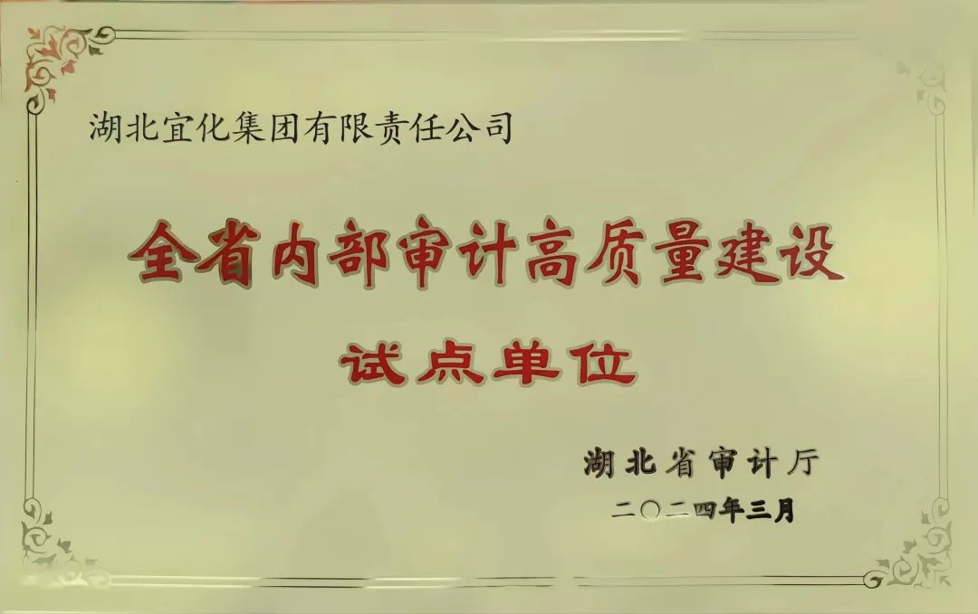 宜化集團獲評全省內(nèi)部審計高質(zhì)量建設試點單位(圖2)