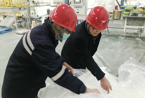 王大真到新材料公司、TPO項(xiàng)目現(xiàn)場和股份公司檢查工作